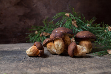 A lot of Imleria Badia or Boletus badius mushrooms commonly known as the bay bolete on vintage wooden background..