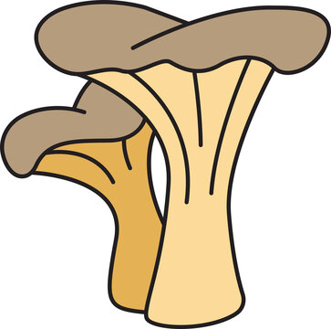 mushroom and toadstool illustration