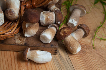 Pile of wild porcini mushrooms on wooden background at autumn season..