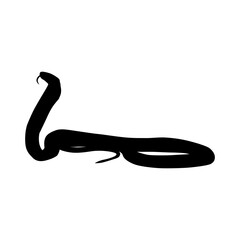 King Cobra of silhouette