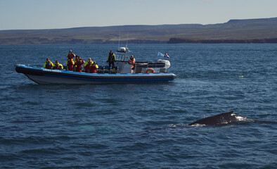 Tourist boat near whale in sea landscape photo. Beautiful nature scenery photography with coast on...