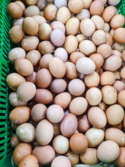 many chicken eggs are in a green basket