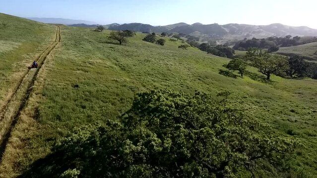 ATV Speeding Up a Green Hill Filled with Oak Trees