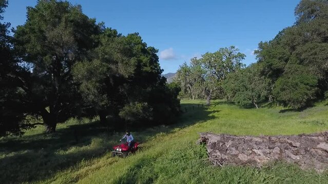 ATV Speeding Through a Field of Oak Trees in California