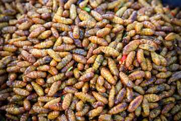 Fried Insects Bugs Street Food