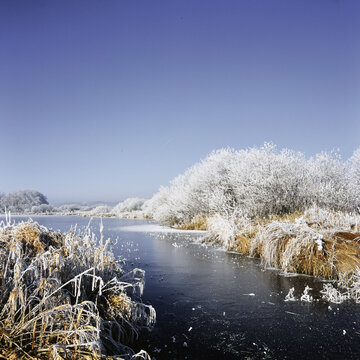 Dreifelder Weiher im Winter