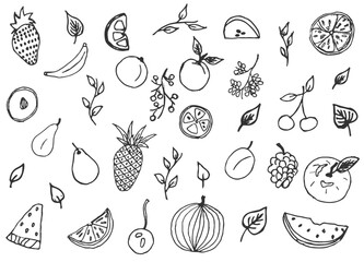A set of citrus slices and whole fruits in a doodle style, hand-drawn, gray color, no fill. Vector illustration with isolated food on white background