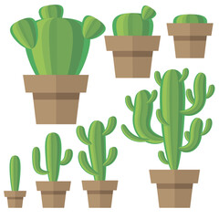 Vector set of green cactus and leaves. Collection of exotic plants. Decorative natural elements are isolated on white. Cactus growth.