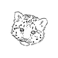 Snow leopard , hand drawn doodle, sketch in pop art style, vector illustration