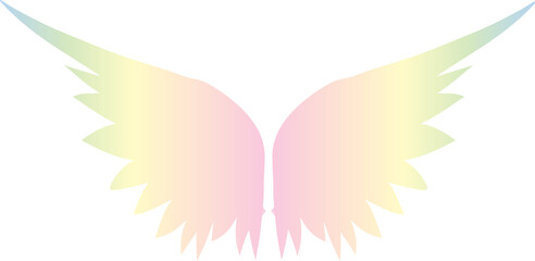 Fototapeta na wymiar rainbow colored wings,butterfly wings,tattoo wings
