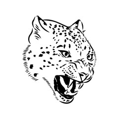 Snow leopard , hand drawn doodle, sketch in pop art style, vector illustration