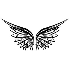 angel wings isolated