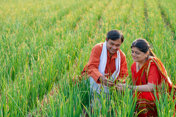 Indian farmer couple checking crop at agriculture field.