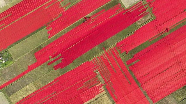 Aerial View Of People Working In A Field In Narsingdi, Dhaka, Bangladesh.