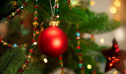 Red ball on branch of Christmas tree on background of shining garland lights. Christmas decoration....