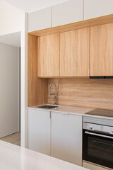 Along the wall is a modern kitchen with light wood cabinets. The marble top has an integrated induction hob and sink.