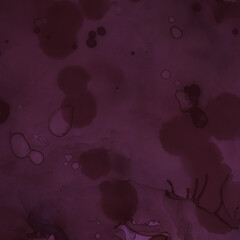 Burgundy Wine Illustration. Watercolor Maroon