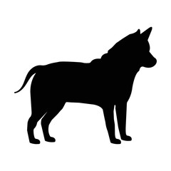 dog vector illustration design art