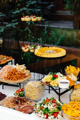 Buffet table of reception with cold snacks, meat and salads