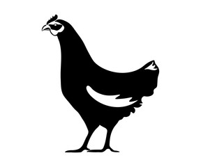 Black and white abstract Chicken bird logo