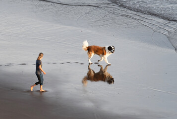 Woman walking with the dog near the sea. Woman and dog. Freidnship. Woman playing with the dog in early morning