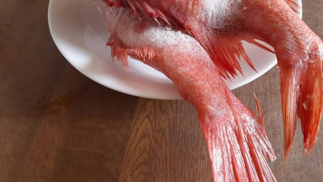 Two frozen headless redfish carcasses covered with hoarfrost