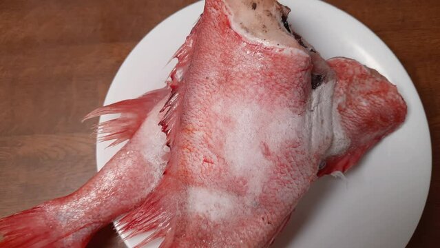 Two frozen headless redfish carcasses covered with hoarfrost