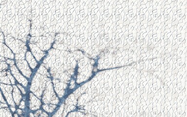 stone background white texture shadow tree