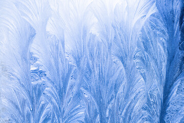 texture applied by severe frost on glass in the early frosty morning, the background is blurred