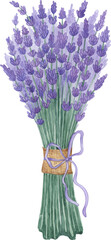 Lavender bouquet. Watercolor illustration. Violet flowers. Rustic wedding bouquet. Provence village decoration. Clipart element.