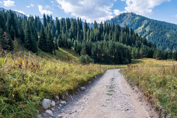 road in the mountains © Александр Ульман