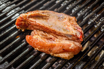 バーベキュー Barbecue party outdoors