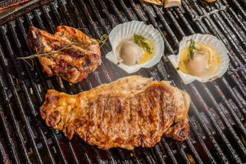 バーベキュー Barbecue party outdoors