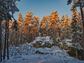Winterlandschaft im Waldviertel Rappottenstein Nieder&ouml;sterreich &ouml;sterreich europa