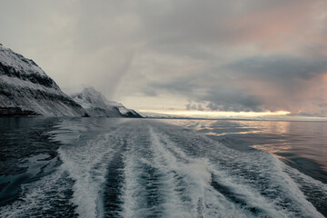 View from a tourist boat cruising in Billefjord on Svalbard during evening light
