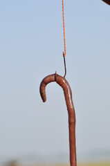 Fishing bait