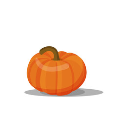 Ripe pumpkin on white background. vector illustration