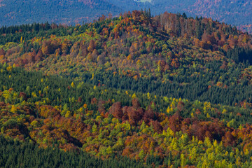 Cosy evening in Carpathians. Summer landscape in mountains. Ukraine, Europe