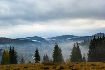 Autumn landscape with fog in the mountains. Fir forest on the hills. Carpathians, Ukraine, Europe. High quality photo