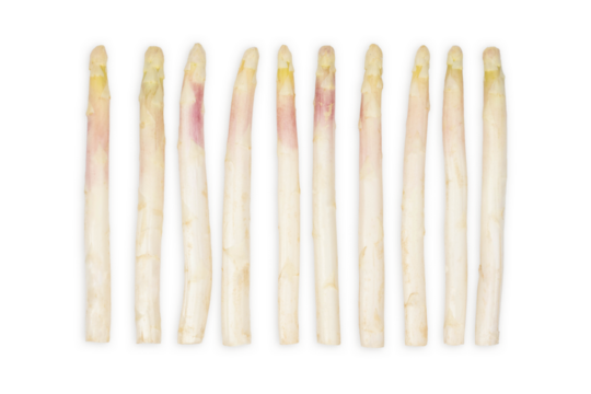 White asparagus isolated on white background.