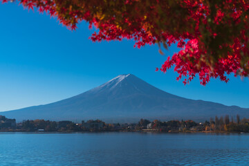 Fuji mountain view