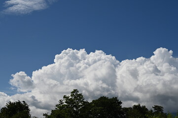 Snow-white clouds blue sky green trees.