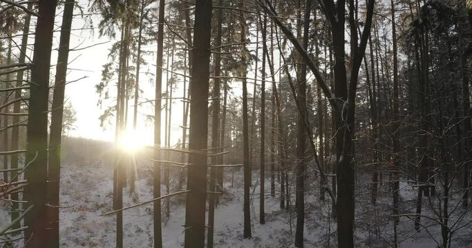 Śnieżny zimowy las o zachodzie słońca, zdjęcia z drona w zimie