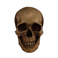 Human Skull Fossil Digital Art By Winters860 Isolated, Transparent Background 