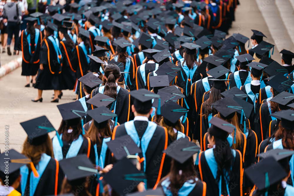 Wall mural congratulated the graduates in university rear view of the university graduates in graduation gowns 