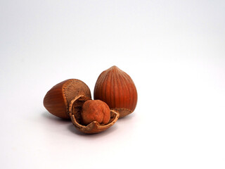 Whole and broken nuts filberts (hazelnut)