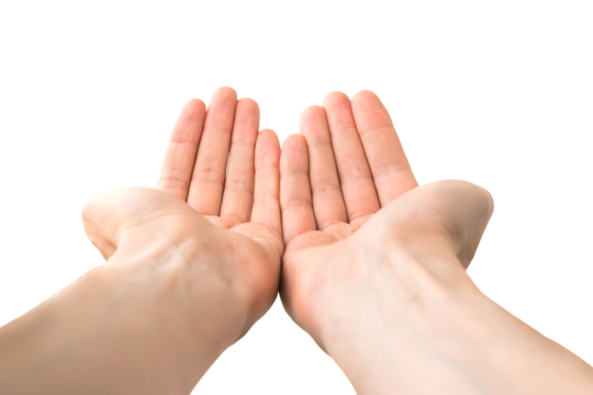 Two open hands give hold something in PNG isolated on transparent background