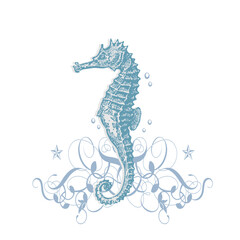 seahorse, coloring for adult antistress