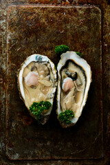 Open shucked fresh oysters. Macro photo. On a metal table background. Rustic style.
