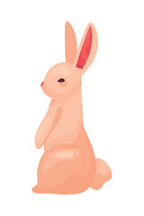 rabbit animal icon